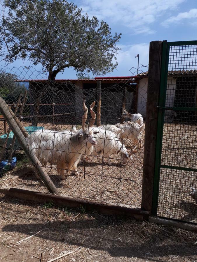 Casa Vacanza Demi Alcamo Marina Eksteriør bilde